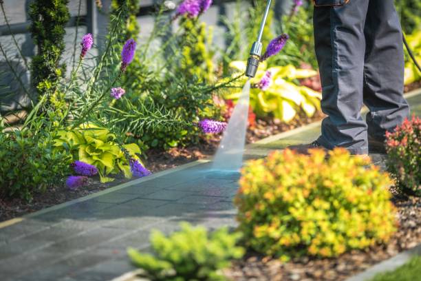 Best Fence Cleaning  in Rexland Acres, CA